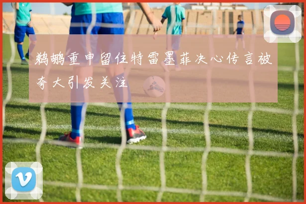 鹈鹕重申留住特雷墨菲决心传言被夸大引发关注