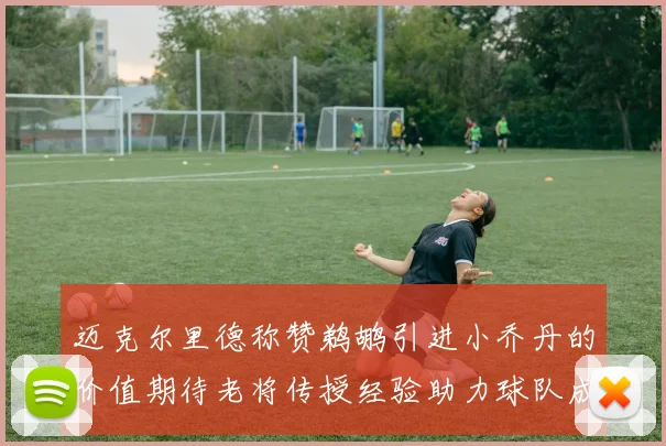迈克尔里德称赞鹈鹕引进小乔丹的价值期待老将传授经验助力球队成长